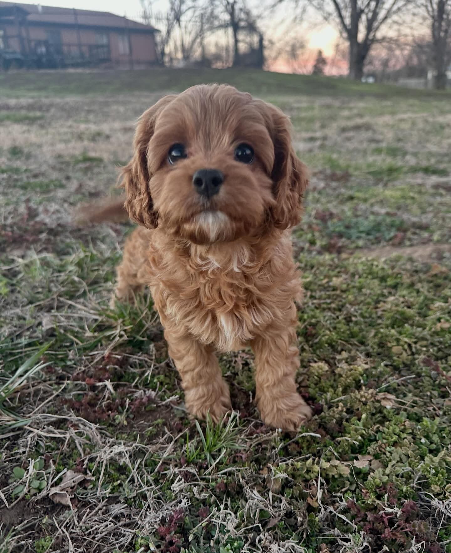 Gallery image 1 of Milton