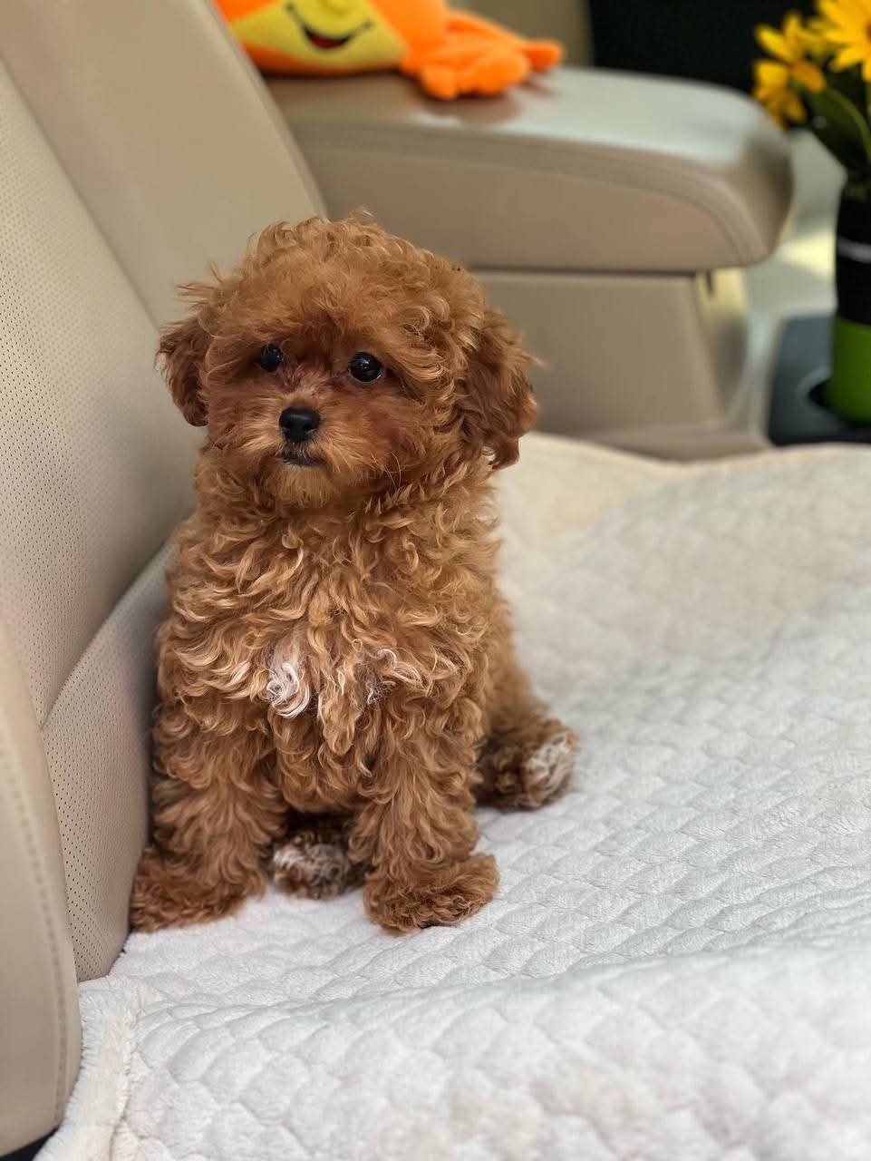 Gallery image 1 of Angle