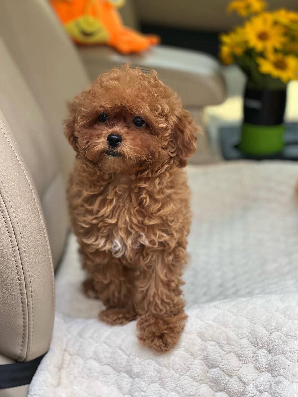 Gallery image 2 of Angle