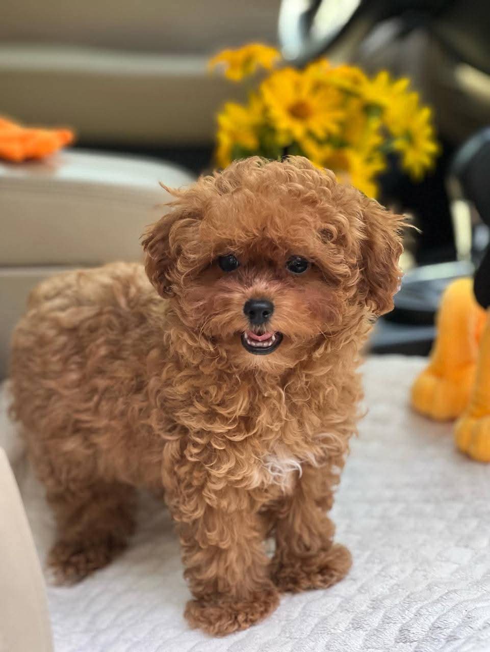 Gallery image 3 of Angle