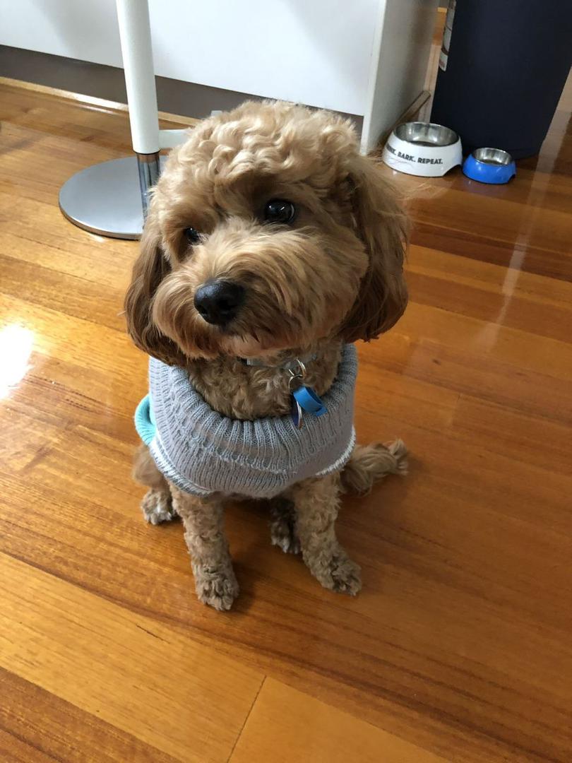 Gallery image 3 of Lilly